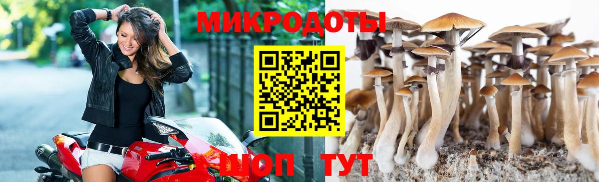 Галлюциногенные грибы Magic Shrooms Междуреченск